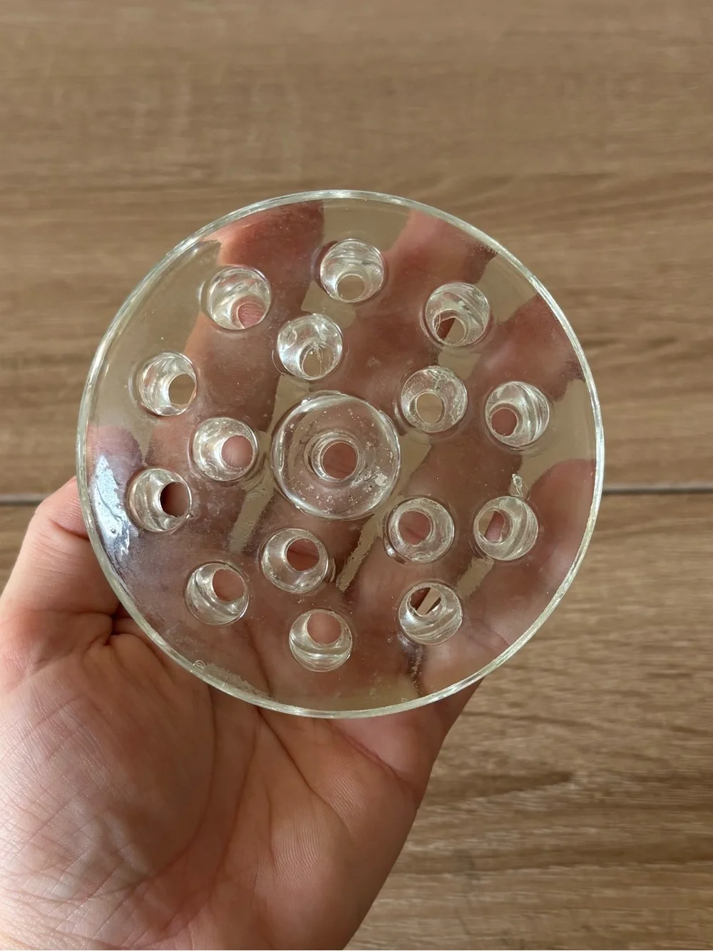 Clear Glass Flower Frog Frogmonger - Circular Multi-hole Flower Arranger